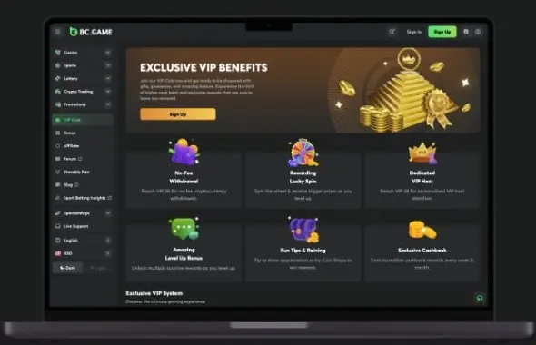BC.GAME VIP Club screen showing reward categories